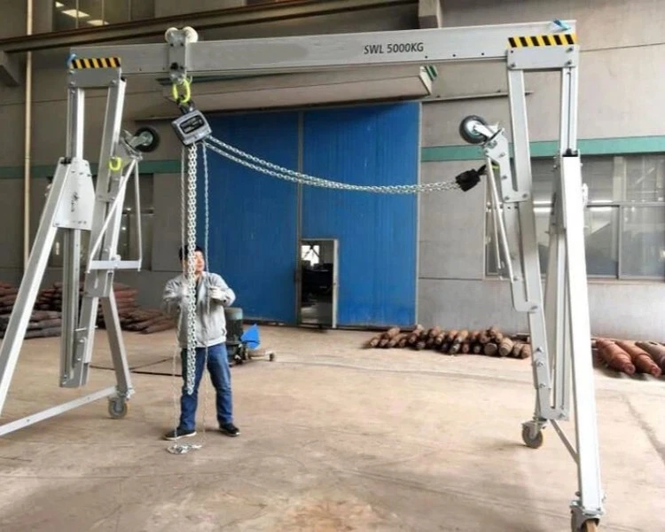 mini gantry crane（5）